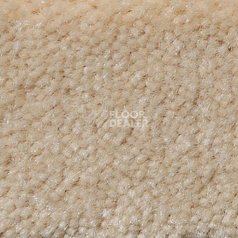 Ковролин Big Caresse 315 фото 1 | FLOORDEALER