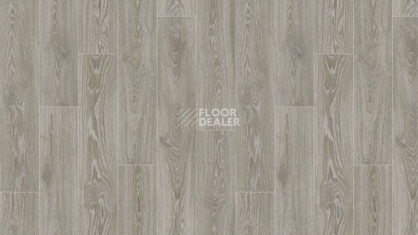 Линолеум Tarkett Gladiator Muskat 11 фото 1 | FLOORDEALER