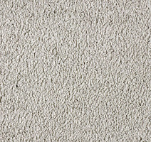 Ковролин Big Ideal Duchesse Deluxe Duchesse Deluxe 151 фото 1 | FLOORDEALER