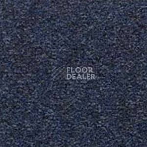 Ковролин Besmer Riga 553 фото 1 | FLOORDEALER