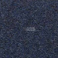 Ковролин Besmer Riga 553 фото 1 | FLOORDEALER