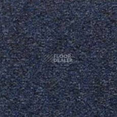 Ковролин Besmer Riga 553 фото 1 | FLOORDEALER