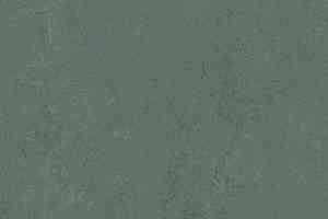 Линолеум Forbo Marmoleum Decibel on Order 375235 taiga фото  | FLOORDEALER