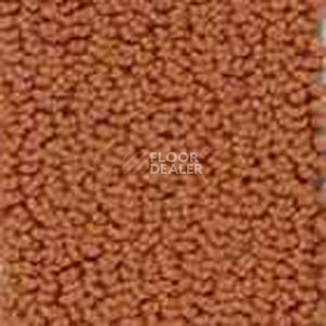 Ковролин Infloor Color 53 715 фото 1 | FLOORDEALER