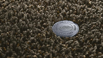 Ковролин Vorwerk Superior 1041 Vorwerk 7g29 фото 1 | FLOORDEALER