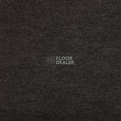 Ковролин Tapibel Secura 4800 фото 1 | FLOORDEALER