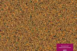 Линолеум Tarkett City PICCADILY 1 фото  | FLOORDEALER