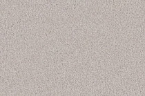 Ковролин Vorwerk Viola 6s38 фото 1 | FLOORDEALER