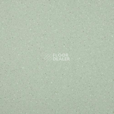 Линолеум Lg Compact CT90511 фото 1 | FLOORDEALER