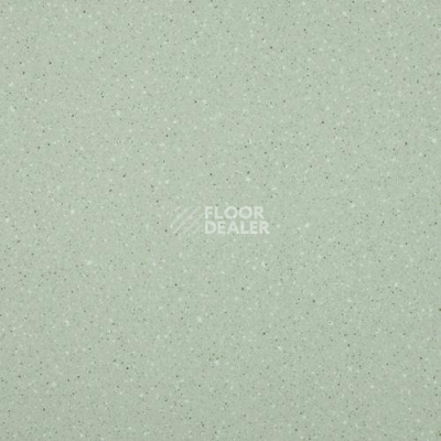 Линолеум Lg Compact CT90511 фото 1 | FLOORDEALER