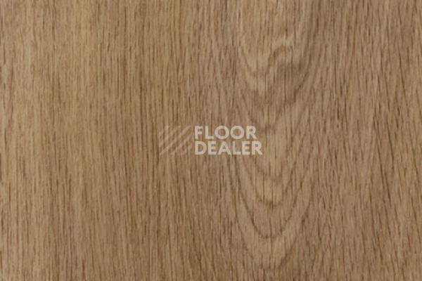 Виниловая плитка ПВХ FORBO allura decibel 0.8 wood 5513LAD8 weathered serene oak (150x20 cm) фото 1 | FLOORDEALER