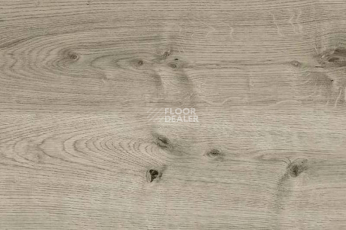 Пробковое покрытие Corkstyle Wood OAK GREY фото 1 | FLOORDEALER
