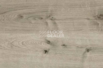 Пробковое покрытие Wood OAK GREY фото 1 | FLOORDEALER