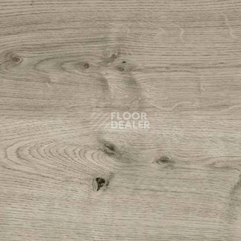 Пробковое покрытие Wood OAK GREY фото 1 | FLOORDEALER