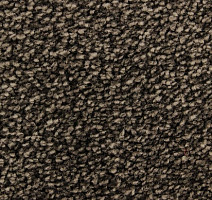 Ковролин Edel Wild Romance 173 фото 1 | FLOORDEALER