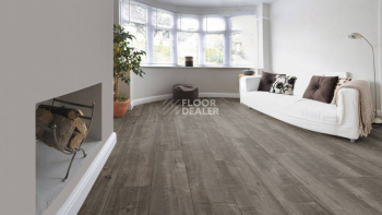Kronotex Exquisit Plus d4785 Дуб Гала Титан фото 9 | FLOORDEALER