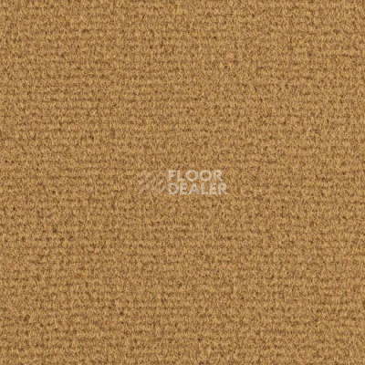 Ковролин Balsan Residentiel 680 фото 1 | FLOORDEALER