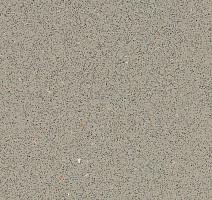 Линолеум Forbo SafeStep R12 175872 fossil фото 1 | FLOORDEALER