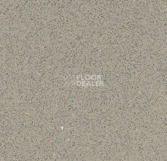 Линолеум Forbo SafeStep R12 175872 fossil фото 1 | FLOORDEALER