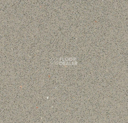 Линолеум Forbo SafeStep R12 175872 fossil фото 1 | FLOORDEALER