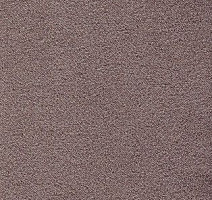 Ковролин AW Confidence 67 фото 1 | FLOORDEALER