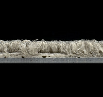 Tecsom Camera 00062 фото 3 | FLOORDEALER