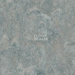 Линолеум Grabo Diamond Standart Forte 4213-456 фото 1 | FLOORDEALER