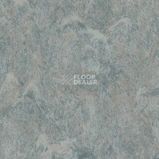 Линолеум Grabo Diamond Standart Forte 4213-456 фото 1 | FLOORDEALER