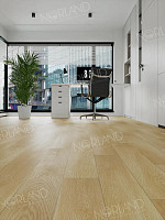 Norland Elegant Strong 12мм Дуб Тасмания LF302-04 фото 3 | FLOORDEALER