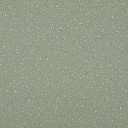 Линолеум Lg Compact CT90513  | FLOORDEALER