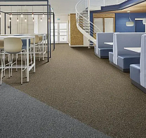 Tessera basis pro 4378 Malt фото 2 | FLOORDEALER