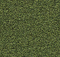 Грязезащитные покрытия Forbo Coral в плитке 2608 Fresh Grass фото 1 | FLOORDEALER