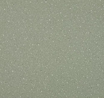 Линолеум Lg Compact CT90513 фото 1 | FLOORDEALER