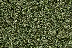 Грязезащитные покрытия Forbo Coral в плитке 2608 Fresh Grass фото  | FLOORDEALER