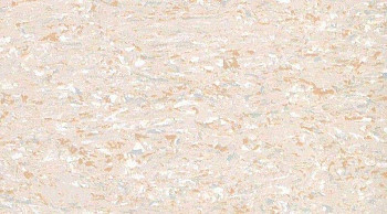 Линолеум Mipolam Accord EL7 3113 фото 1 | FLOORDEALER