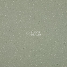Линолеум Lg Compact CT90513 фото 1 | FLOORDEALER