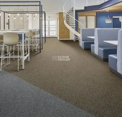 Tessera basis pro 4378 Malt фото 2 | FLOORDEALER