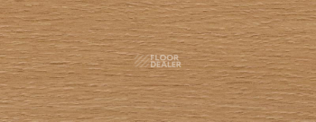 Плинтус Dollken EP 60/13 2375 фото 2 | FLOORDEALER