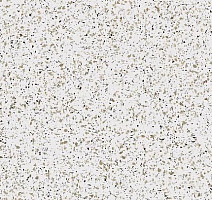 Керамогранит Cosmos Керамогранит 60x120x10 cm 00 60x120x10 Непол.Рект. (Керамический гранит) фото 1 | FLOORDEALER