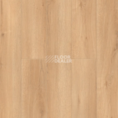 Ламинат Alpine Floor Intensity 12мм LF101-24 Дуб Виченца фото 1 | FLOORDEALER