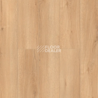 Ламинат Alpine Floor Intensity 12мм LF101-24 Дуб Виченца фото 1 | FLOORDEALER