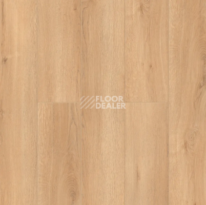 Ламинат Alpine Floor Intensity 12мм LF101-24 Дуб Виченца фото 1 | FLOORDEALER