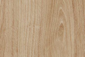 Кварцвиниловые полы Forbo allura decibel 0.8 wood 5203AD8 honey authentic oak (100x20 cm) фото  | FLOORDEALER