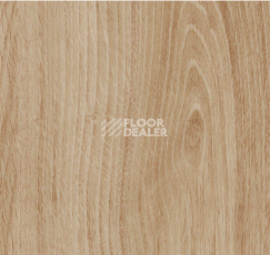 Кварцвиниловые полы Forbo allura decibel 0.8 wood 5203AD8 honey authentic oak (100x20 cm) фото 1 | FLOORDEALER