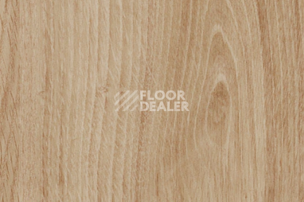 Виниловая плитка ПВХ FORBO allura decibel 0.8 wood 5203AD8 honey authentic oak (100x20 cm) фото 1 | FLOORDEALER