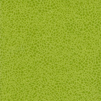 Линолеум Grabo Acoustic 43 Color 388-662-275 фото 1 | FLOORDEALER