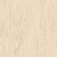Линолеум Tarkett Somplan 50 3024 681 (3014 681) фото 1 | FLOORDEALER