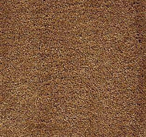 Ковролин AW Radiant 48 фото 1 | FLOORDEALER