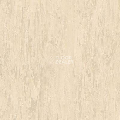 Линолеум Tarkett Somplan 50 3024 681 (3014 681) фото 1 | FLOORDEALER