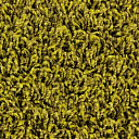 Ковролин Edel Vivaldi 154  | FLOORDEALER